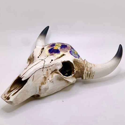 Pansy Cow Skull - Size Medium