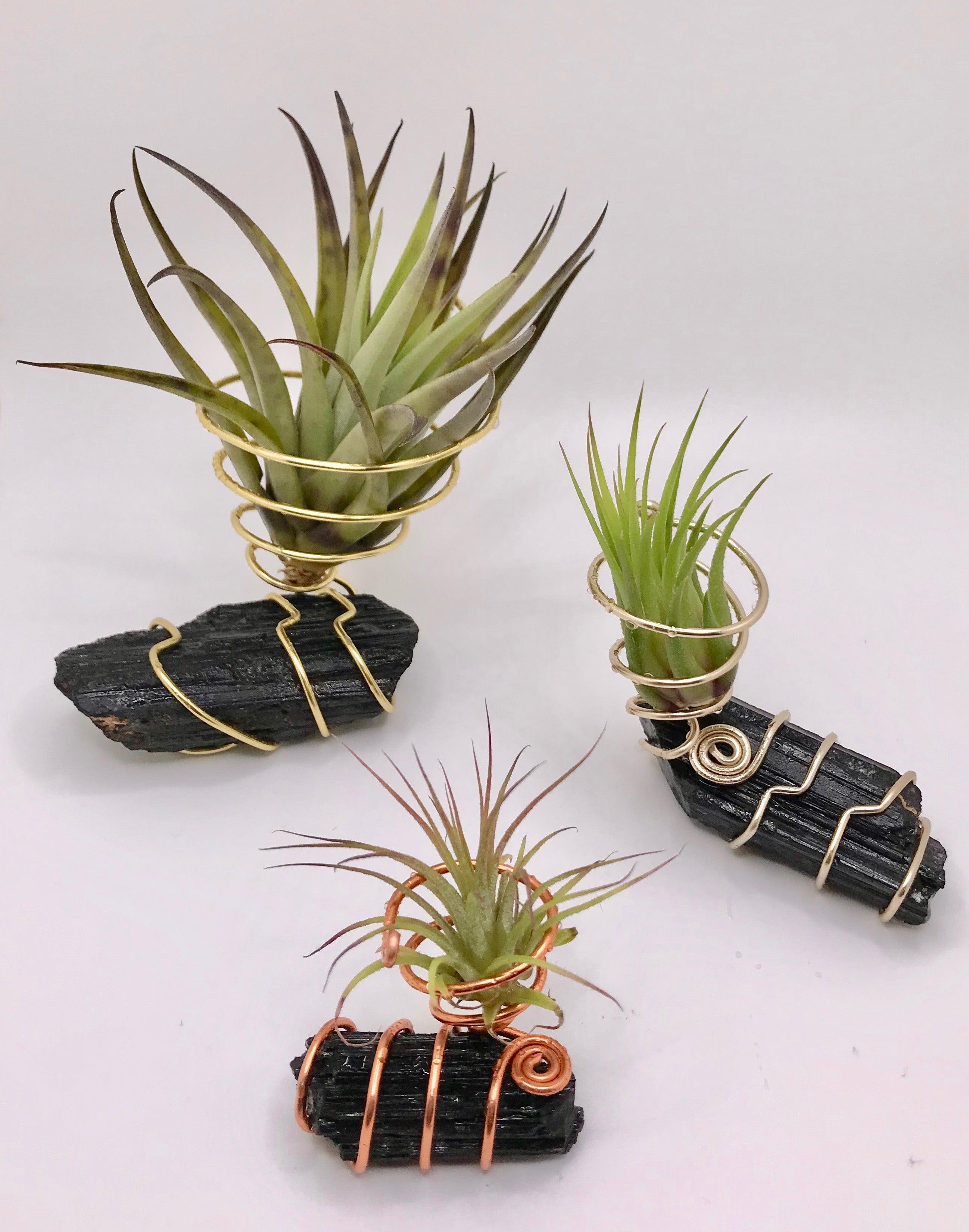 air plant on crystal Mini Crystal Air Plant