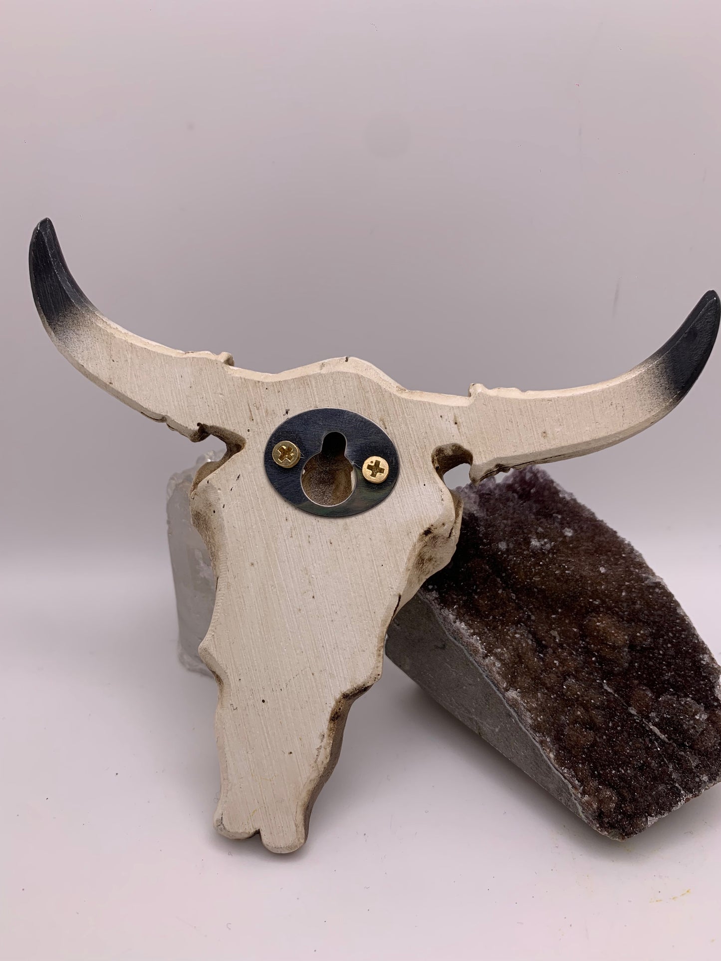 A Cow Skull - Size Small