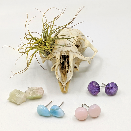 Skull and Gemstuds