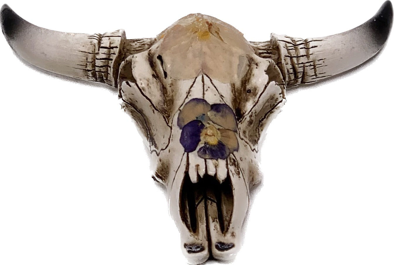 Pansy Cow Skull - Size Small