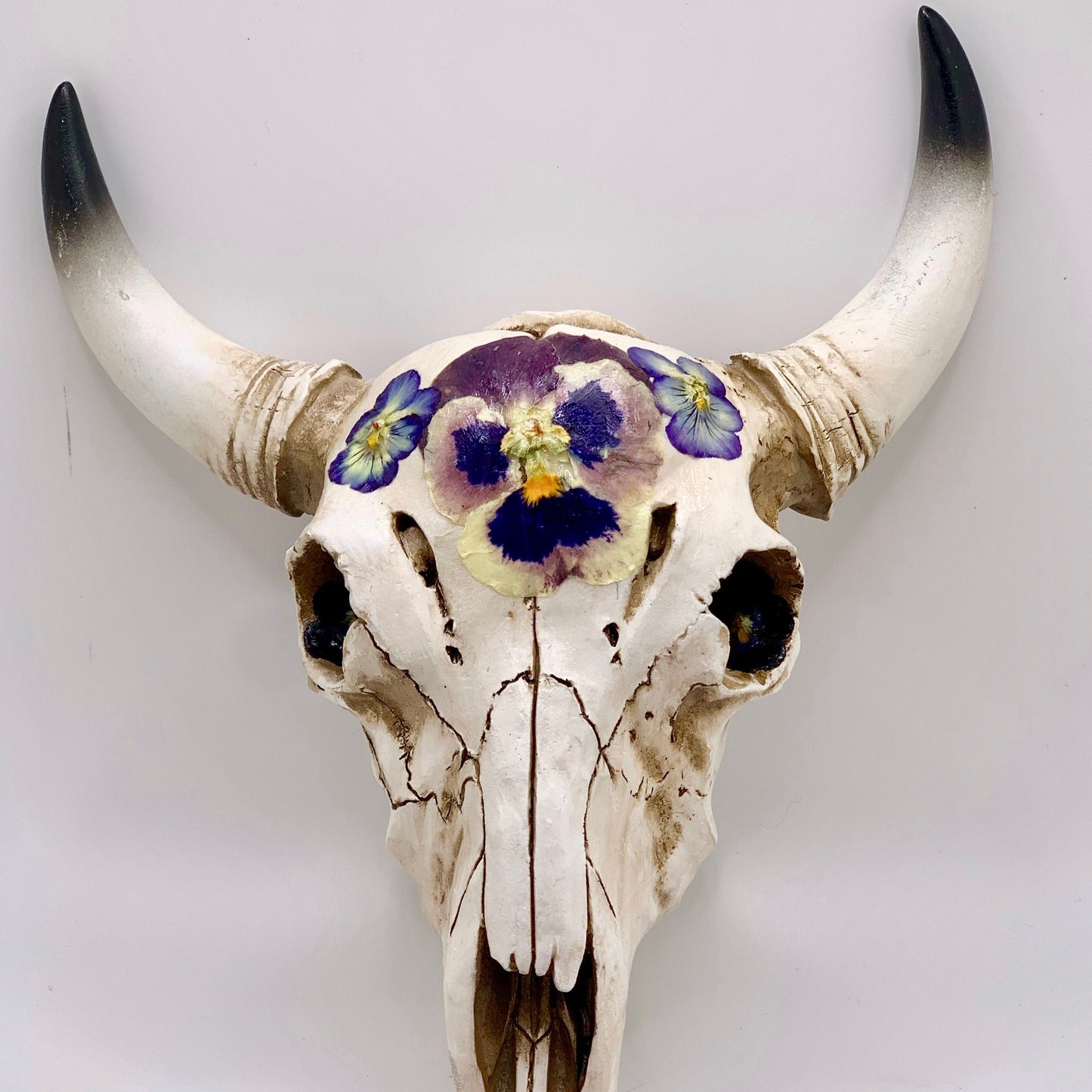 Pansy Cow Skull - Size Medium