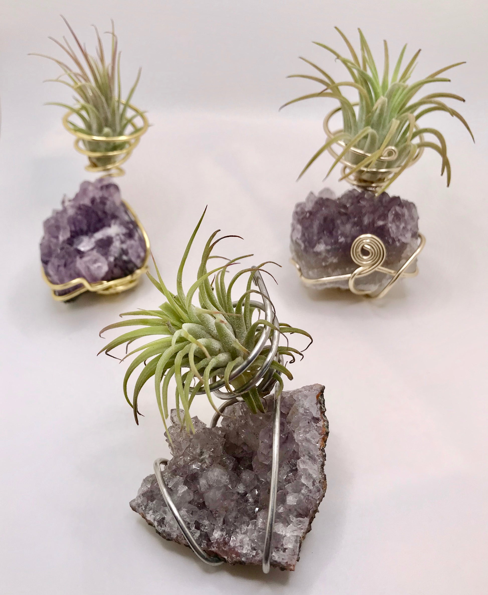 amethyst air plant holder Crystal Air Plant LARGE – Sweet Foraged Things