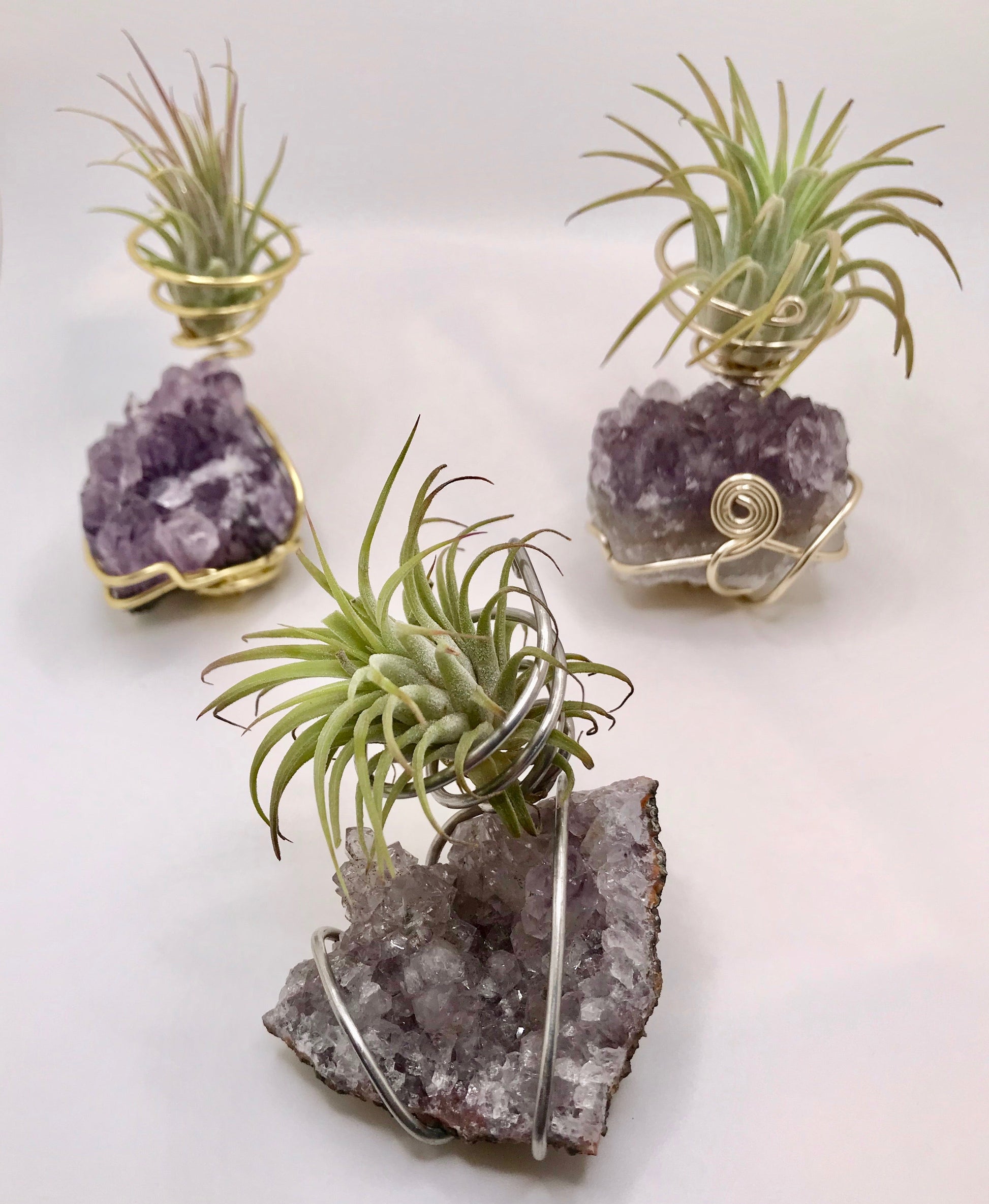 air plants on crystals Medium Crystal Air Plant