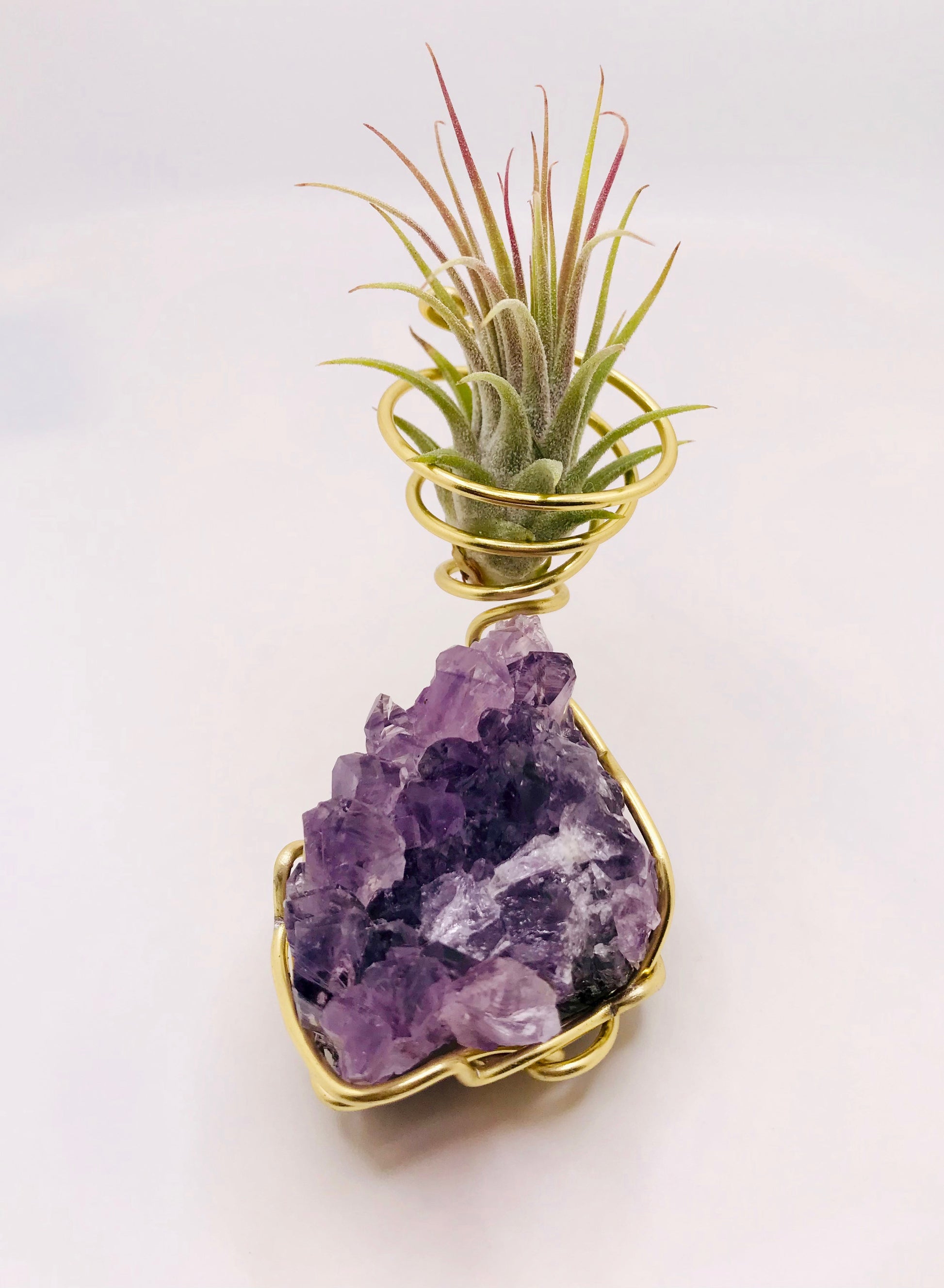 amethyst air plant holder Crystal Air Plant LARGE