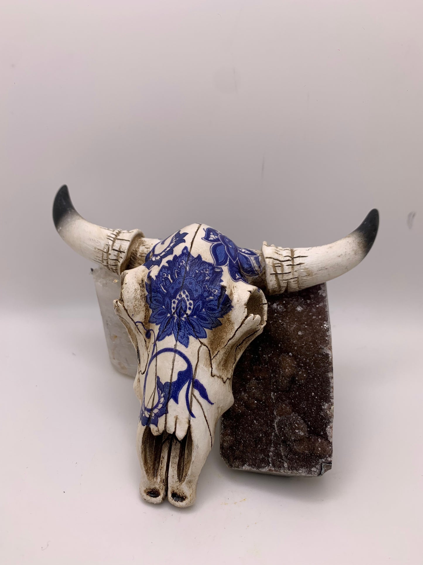 A Cow Skull - Size Small