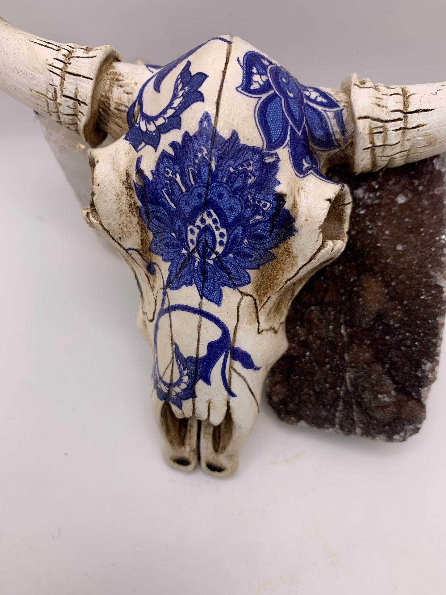 A Cow Skull - Size Small