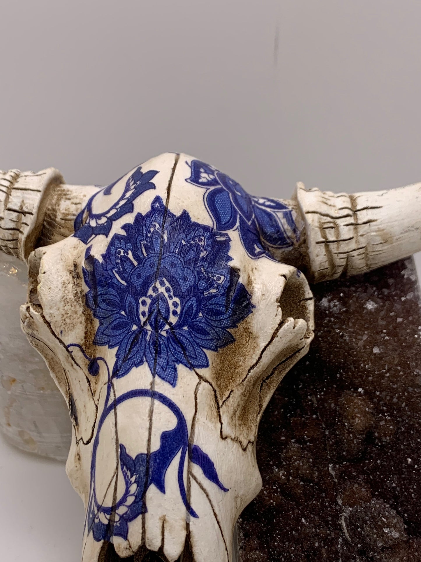 A Cow Skull - Size Small