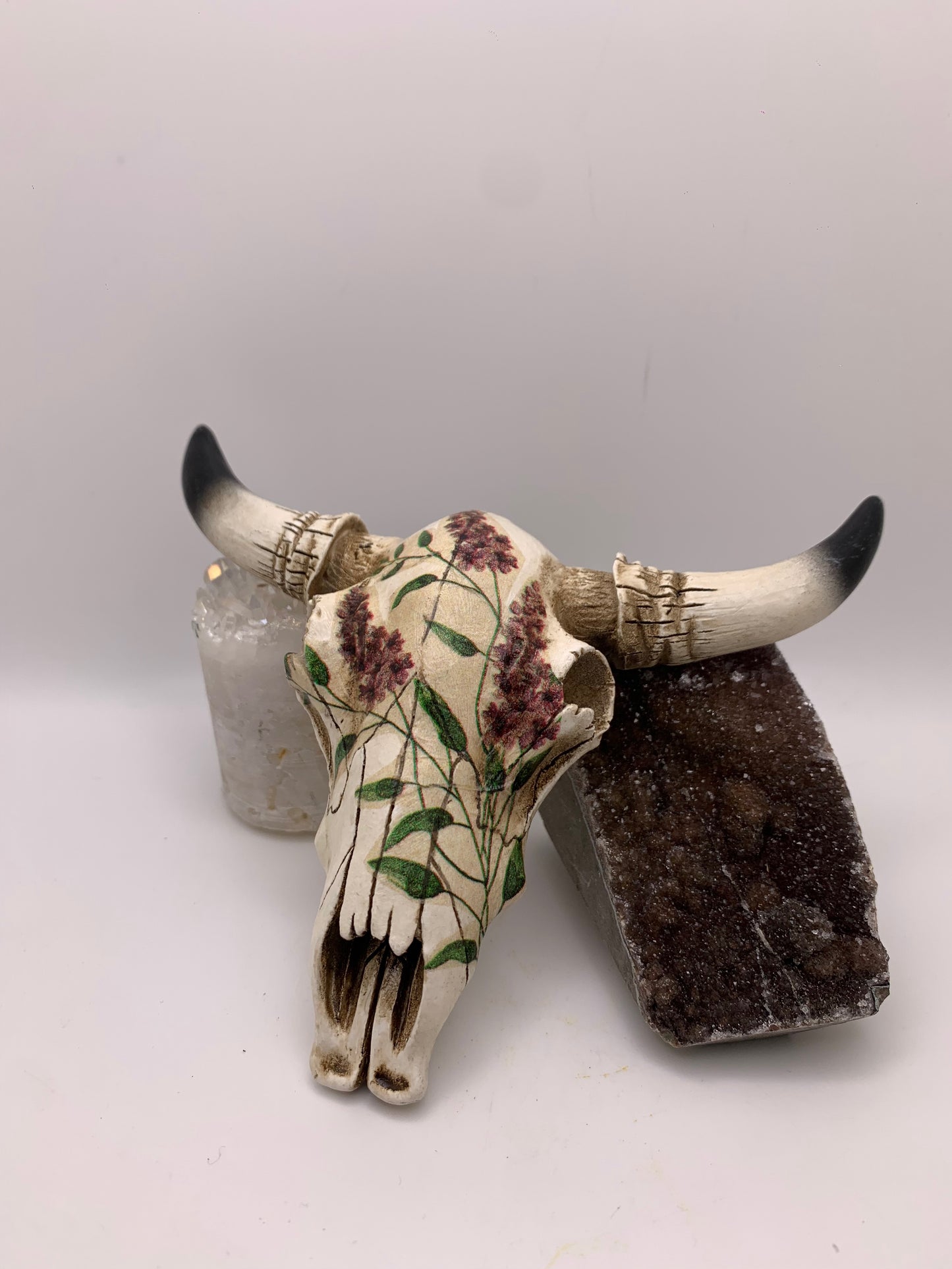 A Cow Skull - Size Small