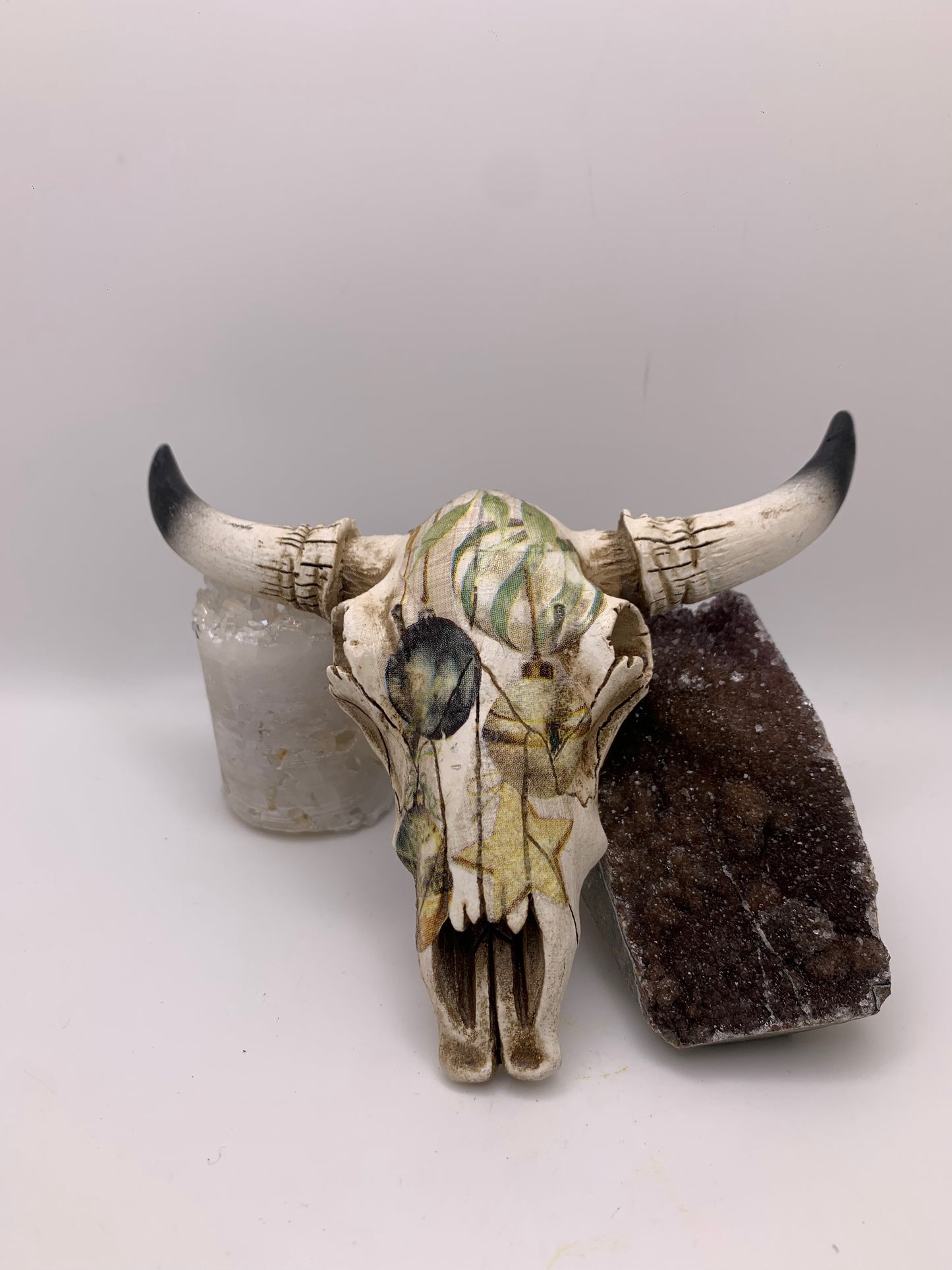 A Cow Skull - Size Small