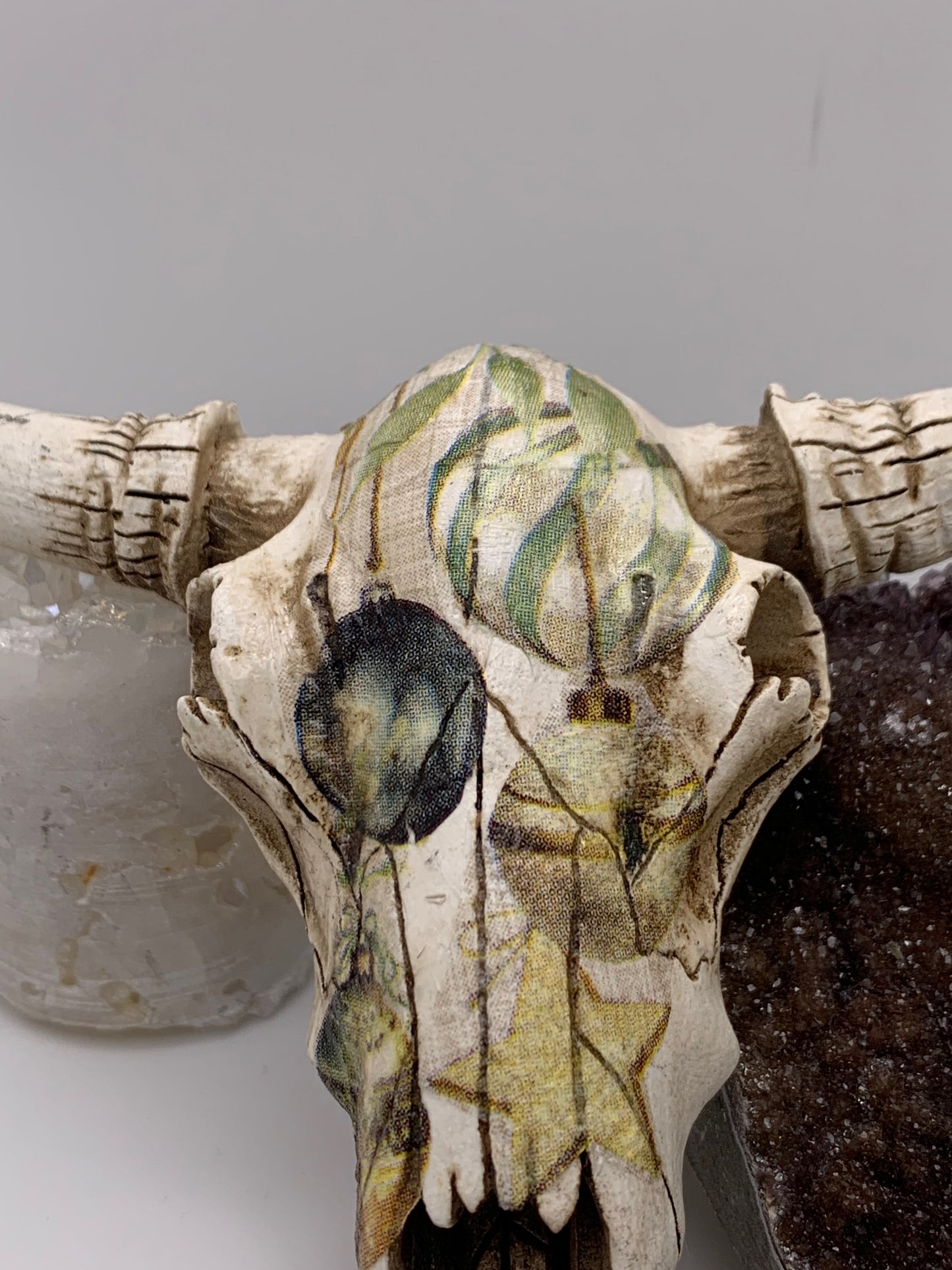 A Cow Skull - Size Small