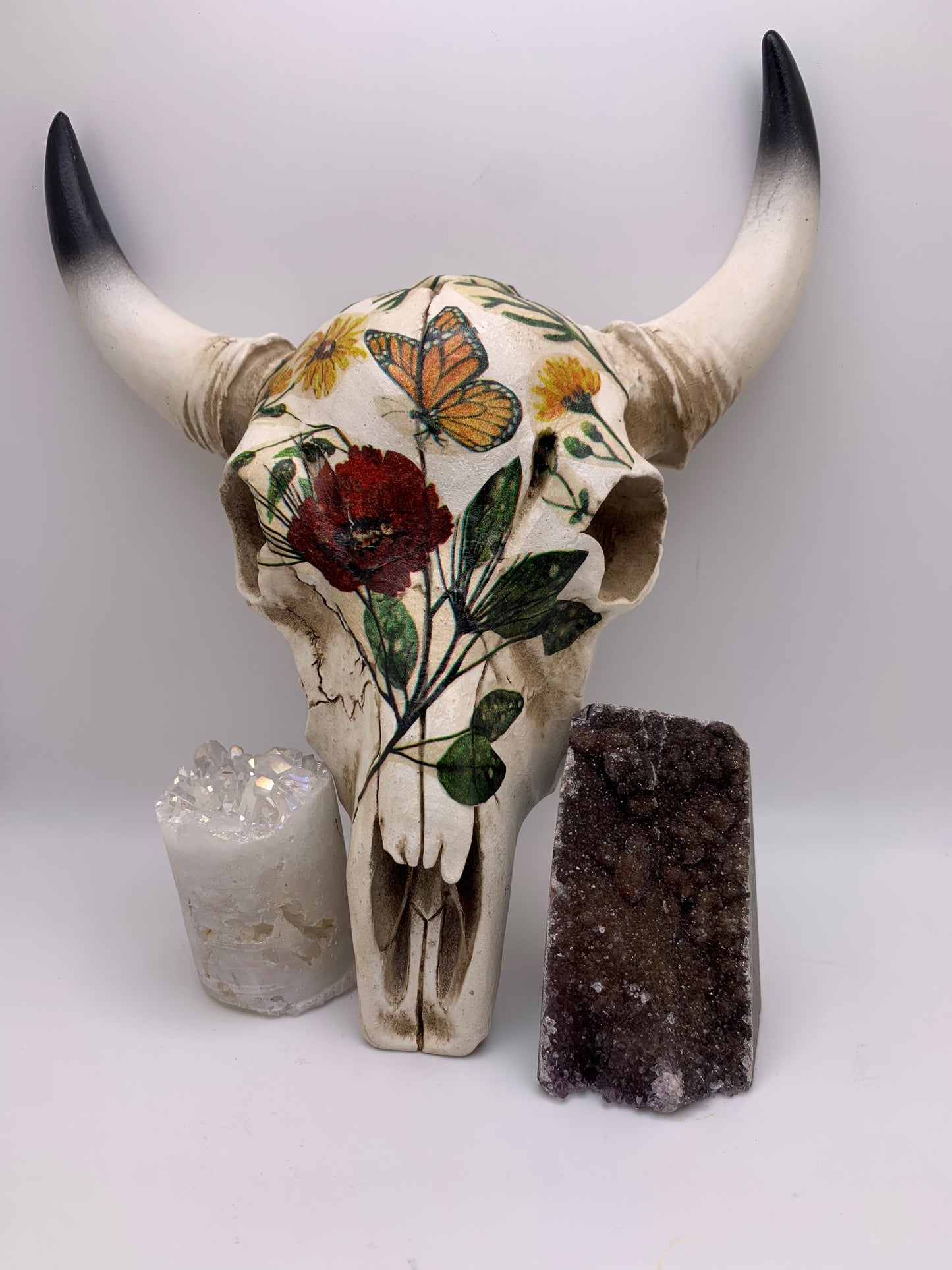 A Cow Skull - Size Medium